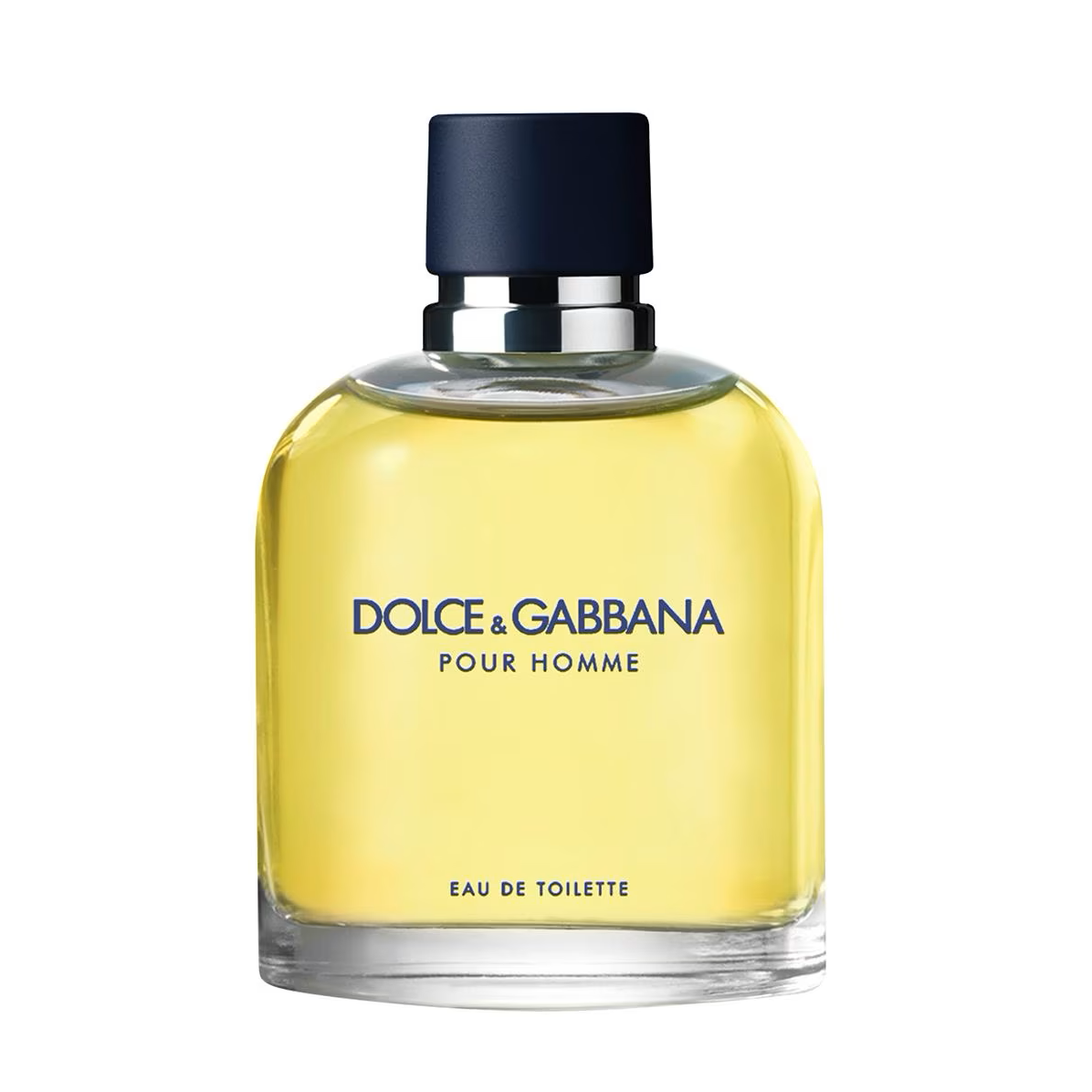 dolce and gabbana pour homme