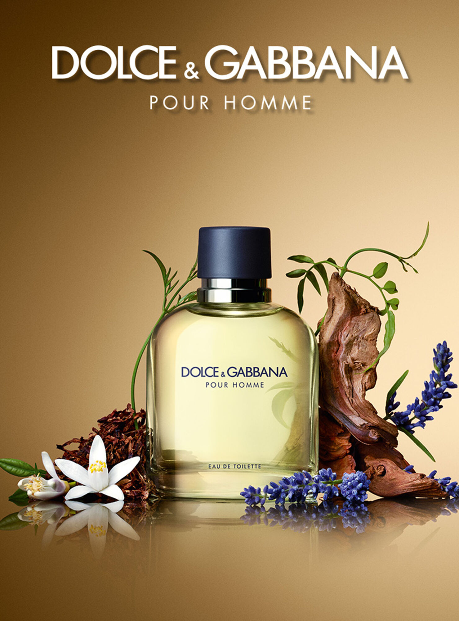 dolce and gabbana pour homme