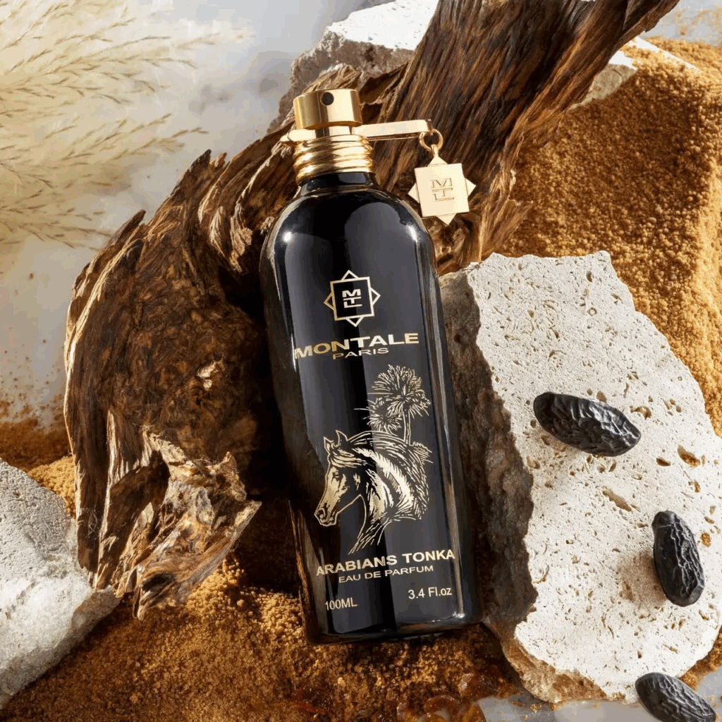 arabians tonka montale